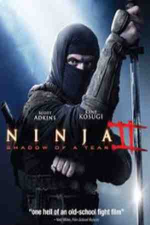 Ninja 2: A bosszú árnyéka