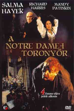 A Notre Dame-i toronyőr