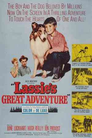 Lassie nagy kalandja