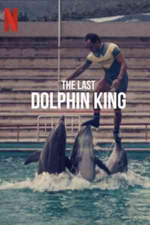 Mi történt a delfinkirállyal