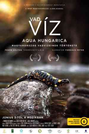 Vad víz - Aqua Hungarica