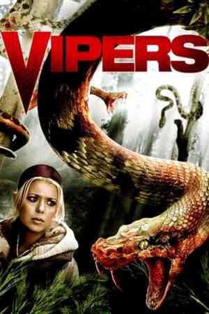 Viperák / Vipers