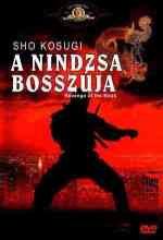 A nindzsa bosszúja   online magyarul
