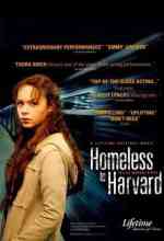 Hajléktalanul a Harvardon online magyarul