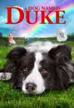  Kutyám Duke online magyarul