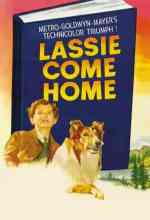 Lassie hazatér online magyarul