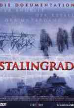Stalingrad online magyarul
