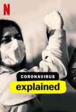 Van rá magyarázat: A koronavírus online magyarul